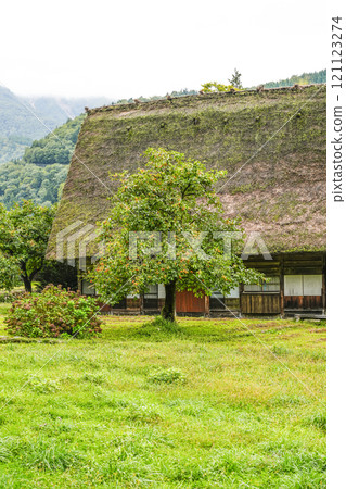 Shirakawago in autumn 121123274