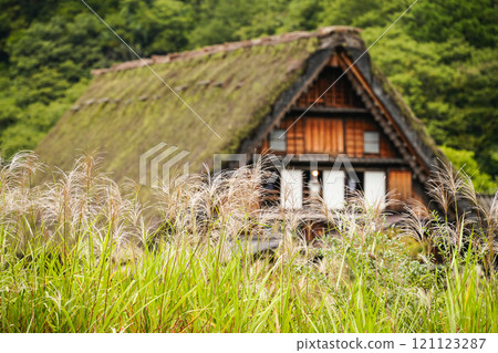 Shirakawago in autumn Shirakawago in autumn 121123287