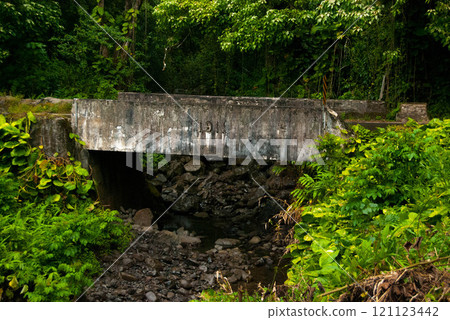 Old Bridge on the Road To Hana, Maui, Hawaii 121123442