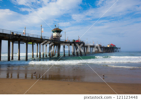 Birds on the shoreline at Huntington Beach Pier 121123448