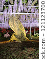 A landscape with a wisteria trellis 121123700