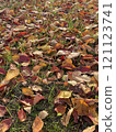 落葉地毯 121123741