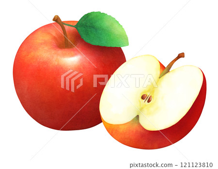 手繪水彩紅蘋果和葉子_蘋果切成兩半_新鮮水果 121123810