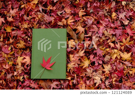 Image material of fallen leaves and reading 121124089