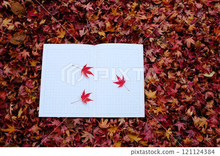 Image material of leaves and diary Image material of leaves and diary 121124384