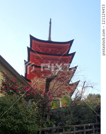 Itsukushima Shrine, also written as Itsukushima Shrine, is a shrine on Miyajima, Miyajima, in Hatsukaichi City, Hiroshima Prefecture, with a large vermilion torii gate and main building floating on the sea. Itsukushima Shrine, also written as Itsukushima Shrine, is a shrine on Miyajima, Miyajima, in Hatsukaichi City, Hiroshima Prefecture, with a large vermilion torii gate and main building floating on the sea. 121124453