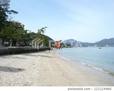 Itsukushima Shrine, also written as Itsukushima Shrine, is a shrine on Miyajima, Miyajima, in Hatsukaichi City, Hiroshima Prefecture, with a large vermilion torii gate and main building floating on the sea. Itsukushima Shrine, also written as Itsukushima Shrine, is a shrine on Miyajima, Miyajima, in Hatsukaichi City, Hiroshima Prefecture, with a large vermilion torii gate and main building floating on the sea. 121124460