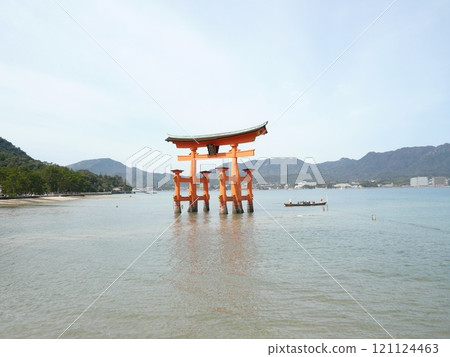 Itsukushima Shrine, also written as Itsukushima Shrine, is a shrine on Miyajima, Miyajima, in Hatsukaichi City, Hiroshima Prefecture, with a large vermilion torii gate and main building floating on the sea. 121124463