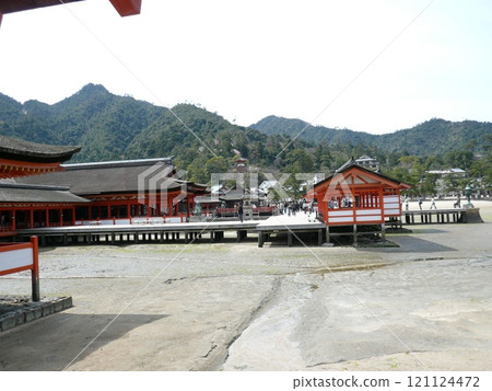 Itsukushima Shrine, also written as Itsukushima Shrine, is a shrine on Miyajima, Miyajima, in Hatsukaichi City, Hiroshima Prefecture, with a large vermilion torii gate and main building floating on the sea. 121124472
