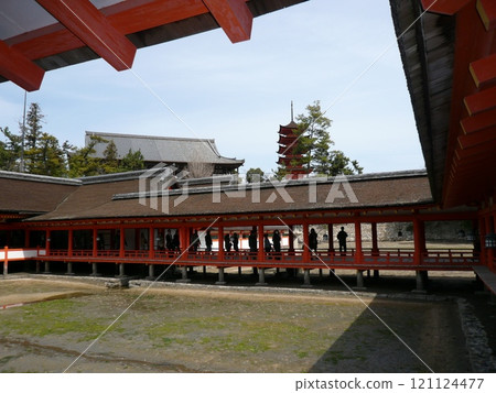 Itsukushima Shrine, also written as Itsukushima Shrine, is a shrine on Miyajima, Miyajima, in Hatsukaichi City, Hiroshima Prefecture, with a large vermilion torii gate and main building floating on the sea. Itsukushima Shrine, also written as Itsukushima Shrine, is a shrine on Miyajima, Miyajima, in Hatsukaichi City, Hiroshima Prefecture, with a large vermilion torii gate and main building floating on the sea. 121124477
