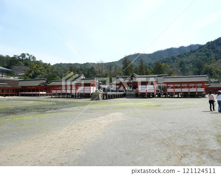 Itsukushima Shrine, also written as Itsukushima Shrine, is a shrine on Miyajima, Miyajima, in Hatsukaichi City, Hiroshima Prefecture, with a large vermilion torii gate and main building floating on the sea. Itsukushima Shrine, also written as Itsukushima Shrine, is a shrine on Miyajima, Miyajima, in Hatsukaichi City, Hiroshima Prefecture, with a large vermilion torii gate and main building floating on the sea. 121124511