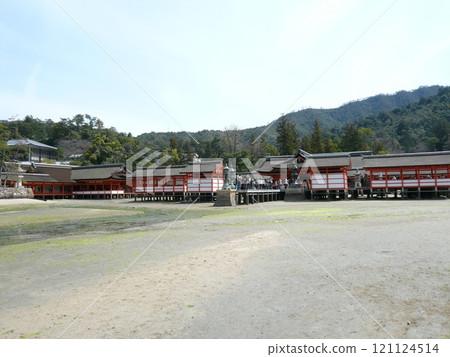 Itsukushima Shrine, also written as Itsukushima Shrine, is a shrine on Miyajima, Miyajima, in Hatsukaichi City, Hiroshima Prefecture, with a large vermilion torii gate and main building floating on the sea. Itsukushima Shrine, also written as Itsukushima Shrine, is a shrine on Miyajima, Miyajima, in Hatsukaichi City, Hiroshima Prefecture, with a large vermilion torii gate and main building floating on the sea. 121124514