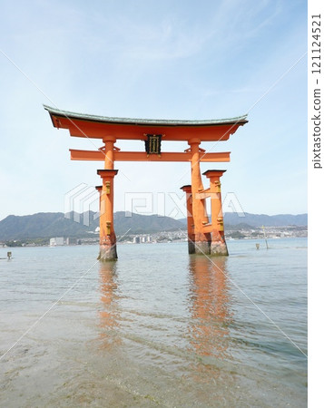 Itsukushima Shrine, also written as Itsukushima Shrine, is a shrine on Miyajima, Miyajima, in Hatsukaichi City, Hiroshima Prefecture, with a large vermilion torii gate and main building floating on the sea. 121124521