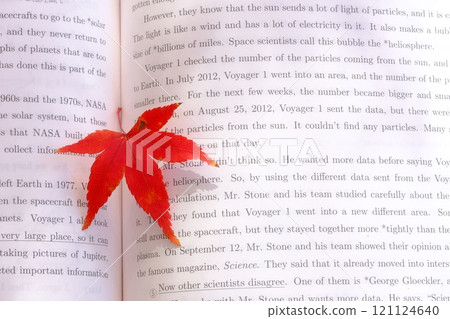 Image material of English text and autumn leaves 121124640