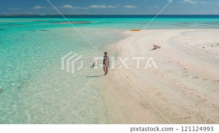 Aerial drone footage of a young woman enjoying a sunny day at the beach with her dog, walking on a pristine white sand beach in a tropical paradise 121124993