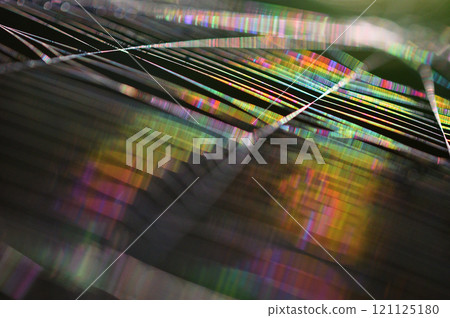 蜘蛛網在早晨的陽光下閃閃發光，特寫 121125180