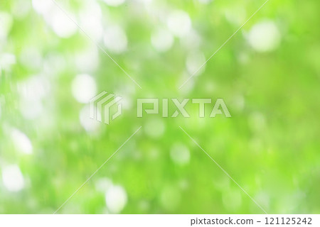 Fresh green ball bokeh 121125242