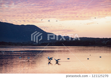 日落後的新潟佐賀田 121125270