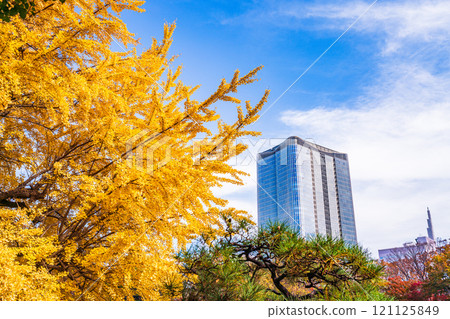 [東京]秋天的日比谷公園和東京中城日比谷 121125849