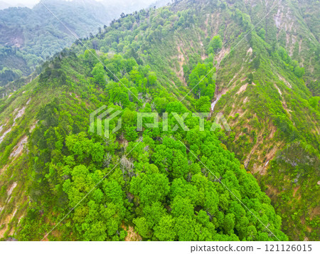 Spring mountain Spring mountain 121126015