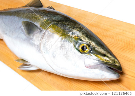 Fresh yellowtail on a commercial cutting board Fresh yellowtail on a commercial cutting board 121126465