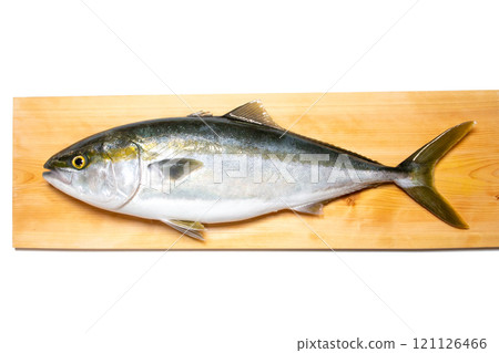 Fresh yellowtail on a commercial cutting board Fresh yellowtail on a commercial cutting board 121126466