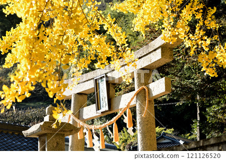 Kamo Shrine [Kinokawa City, Wakayama Prefecture] 121126520