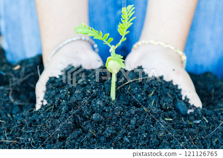 Earth Day Concept Earth Day Concept 121126765