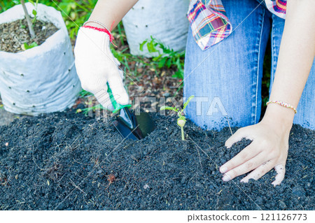 Earth Day Concept 121126773