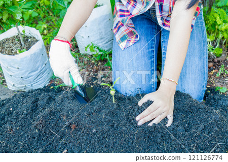 Earth Day Concept Earth Day Concept 121126774