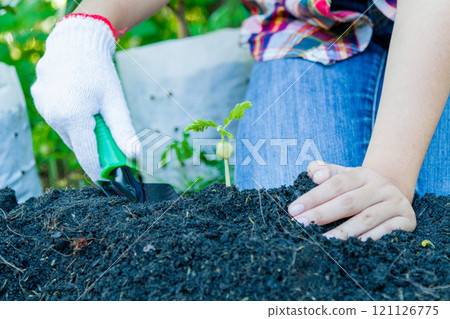 Earth Day Concept Earth Day Concept 121126775