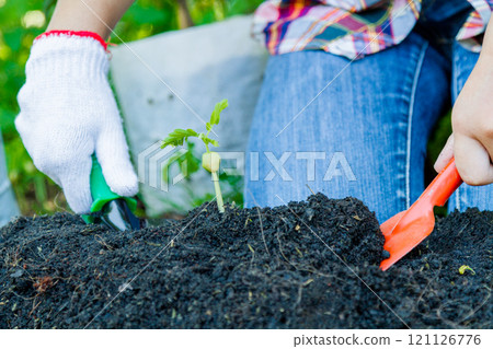 Earth Day Concept 121126776