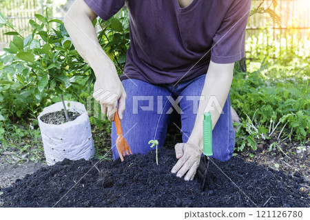 Earth Day Concept Earth Day Concept 121126780