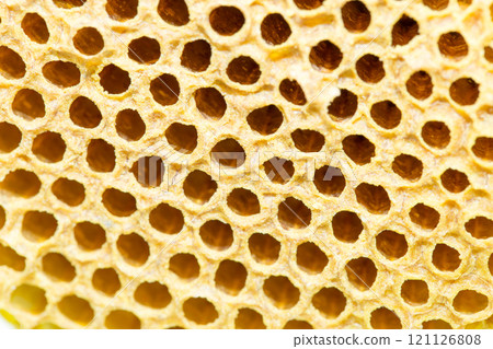 Fresh Honey comb Fresh Honey comb 121126808