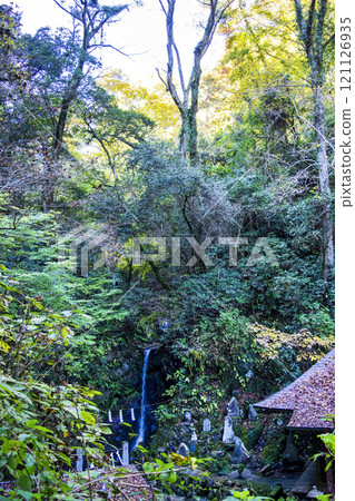 高尾山琵琶瀧路線(國道6號)沿著琵琶瀧山路 11月下旬 高尾山琵琶瀧路線(國道6號)沿著琵琶瀧山路 11月下旬 121126935