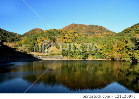 Mount Nijo (from Oike Pond) [Katsuragi City, Nara Prefecture] 121126975