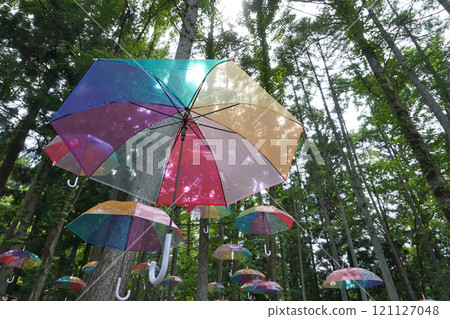 Colorful vinyl umbrella 03 Colorful vinyl umbrella 03 121127048