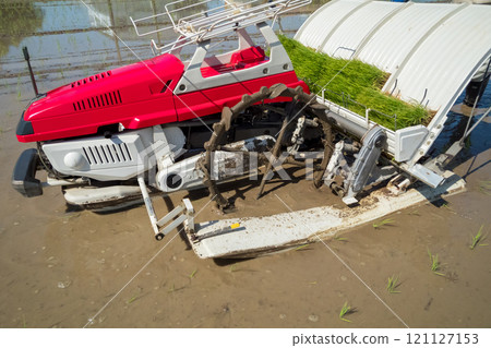 rice planting, rice transplanter, paddy 121127153