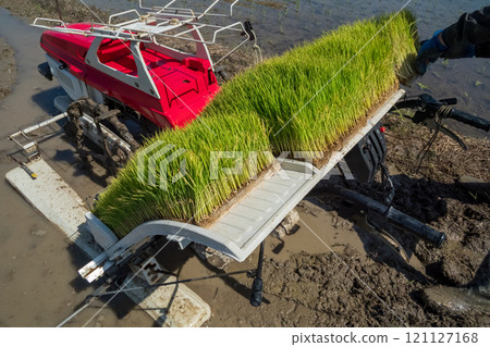 rice planting, rice transplanter, paddy 121127168