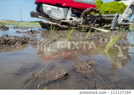 水稻種植 水稻插秧機 水稻 121127184