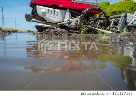 rice planting, rice transplanter, paddy 121127185