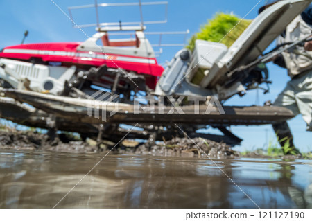 rice planting, rice transplanter, paddy 121127190