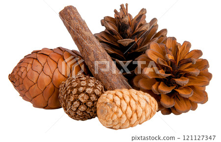 Natural pine cones and wood pieces arranged artistically 121127347