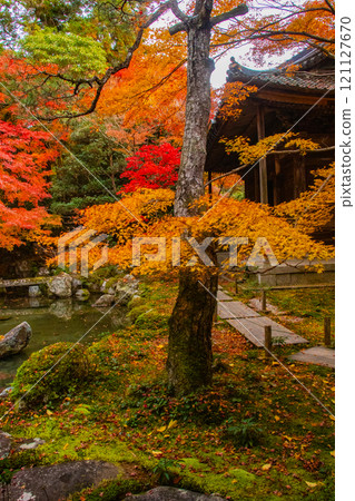 【京都風景】靜謐的紅葉染紅了秋天的池塘 【京都風景】靜謐的紅葉染紅了秋天的池塘 121127670