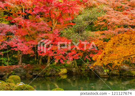 [Kyoto scenery] Autumn leaves decorating the pond in tranquility 121127674