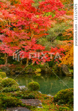 [Kyoto scenery] Autumn leaves decorating the pond in tranquility 121127675