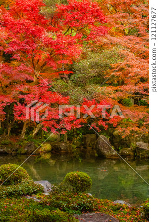 【京都風景】靜謐的紅葉染紅了秋天的池塘 【京都風景】靜謐的紅葉染紅了秋天的池塘 121127677