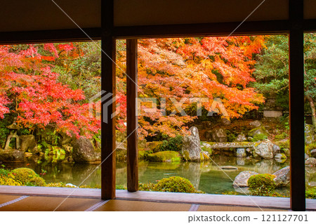 [Kyoto scenery] Autumn leaves decorating the pond in tranquility 121127701