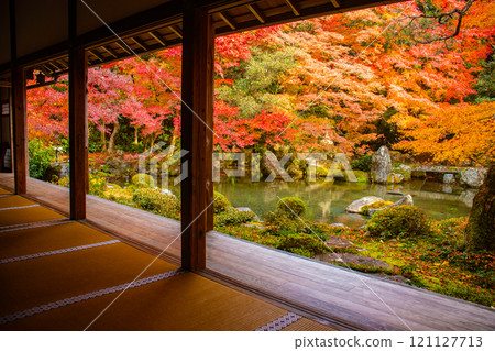 [Kyoto scenery] Autumn leaves decorating the pond in tranquility 121127713