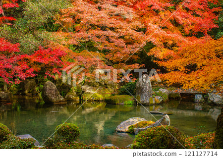 [Kyoto scenery] Autumn leaves decorating the pond in tranquility 121127714